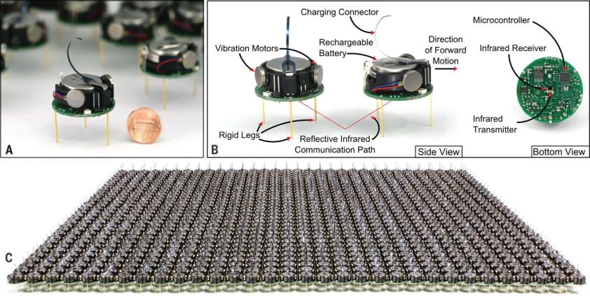 (a) Un kilobot mostrato a lato di una moneta di un penny americano (per dedurne le dimensioni). (b) Ciascun kilobot è dotato di due motori vibrazionali, un trasmettitore-ricevitore infrarosso rivolto verso il basso, un microcontrollore per eseguire programmi. I robot comunicano con i compagni entro una distanza di 10cm inviando un segnale infrarosso che riflette sulla superficie sottostante su cui si muovono. (c) Una colonia di 1024 robot (210, ossia un 'kilo' di robot, in unità di misura informatica informatica). [Immagine: Harvard University]