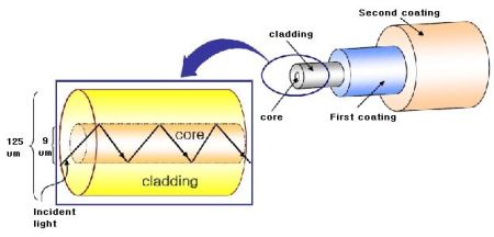 Struttura di un cavo di fibra ottica: nucleo (core); mantello (cladding); rivestimento (coating).